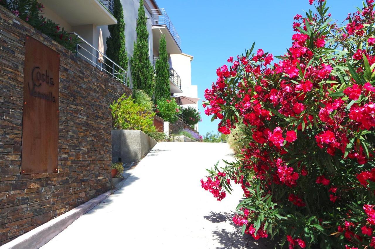 Residence Costa Vermella, Vue Mer Et Montagne Au Calme Cerbère Εξωτερικό φωτογραφία